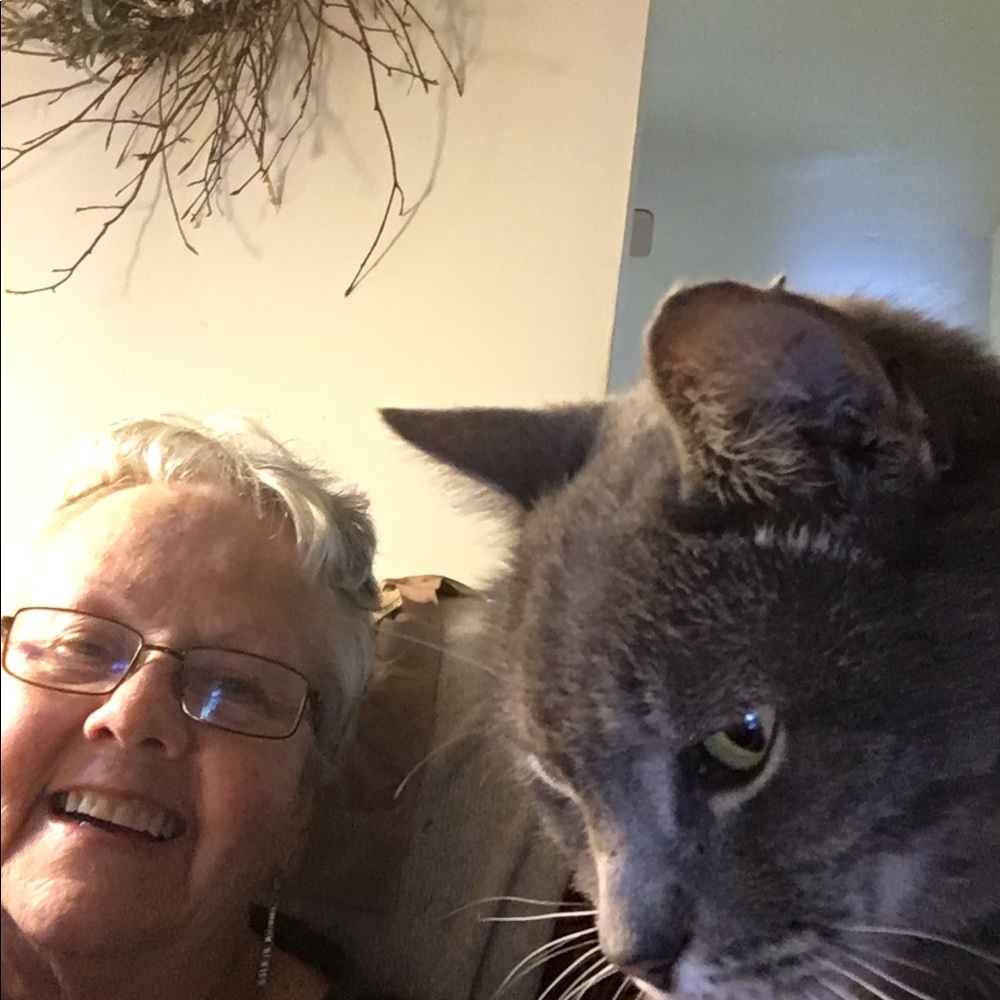 Meet your Posher, Peggy